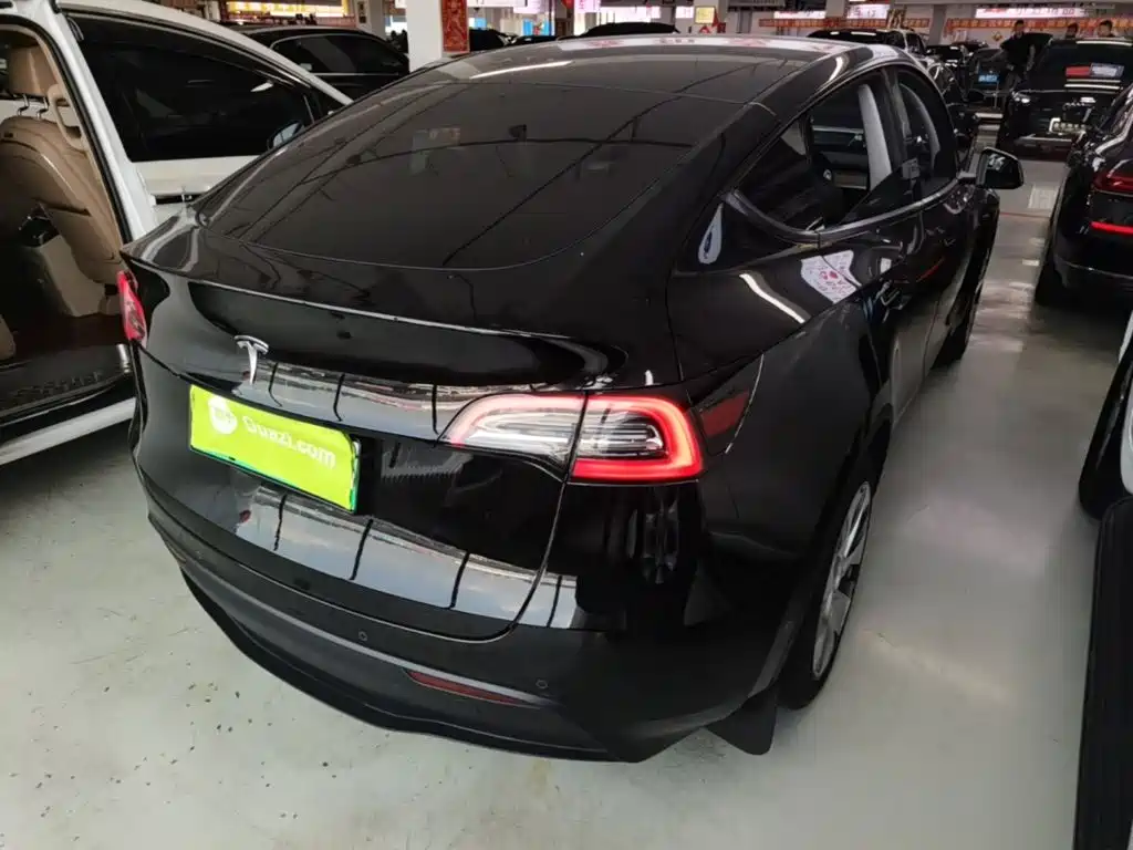 Tesla Model Y — миниатюра 7