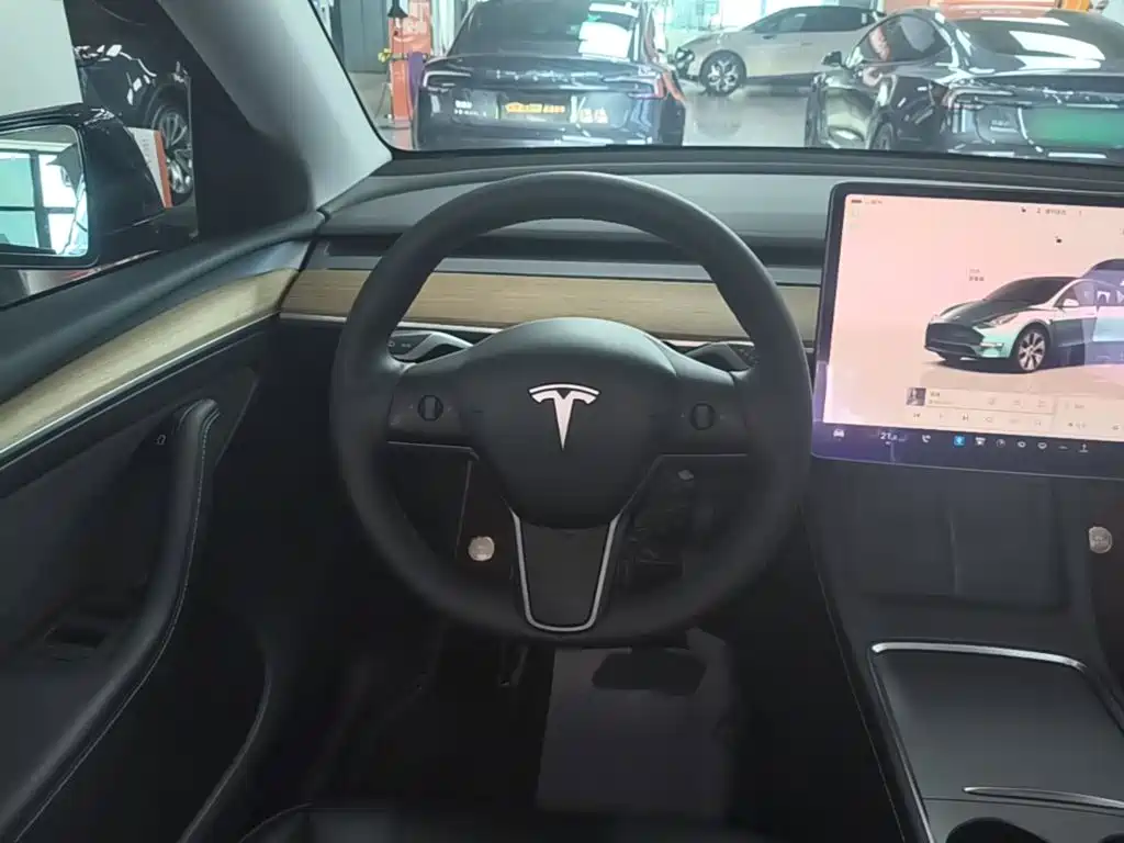 Tesla Model Y — миниатюра 11