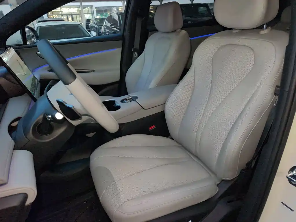 BYD Sealion 06 — миниатюра 10
