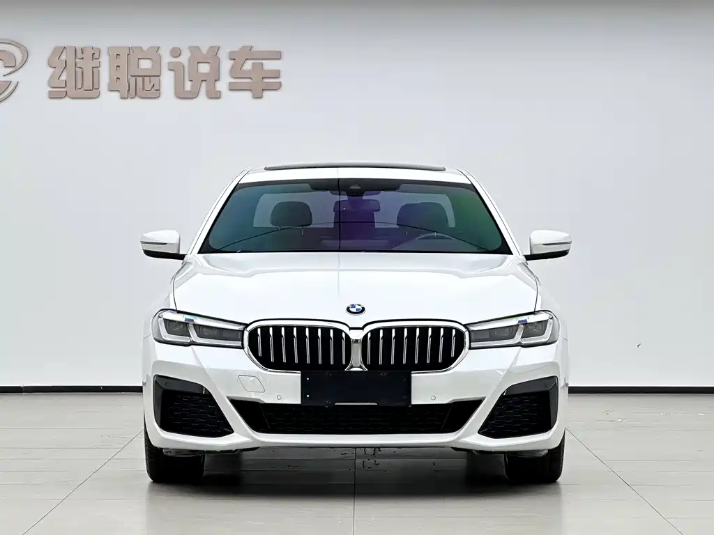 BMW 5 Series — миниатюра 2