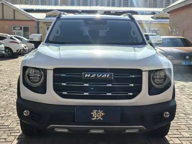 HAVAL BIG DOG
