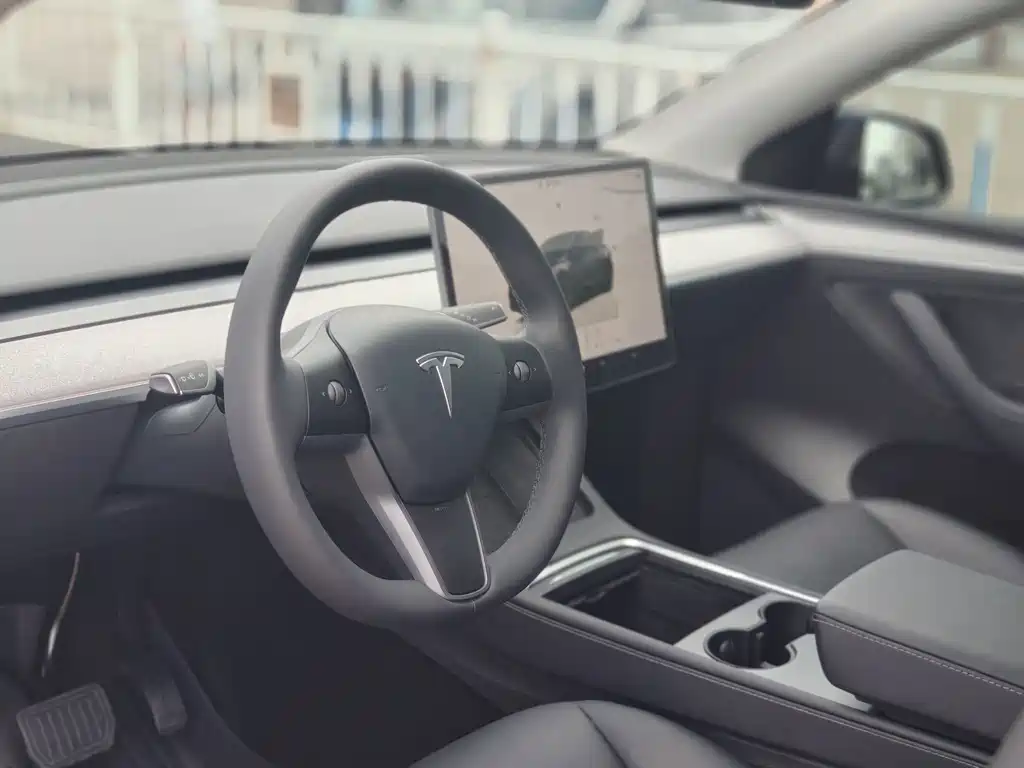 Tesla Model Y — миниатюра 4