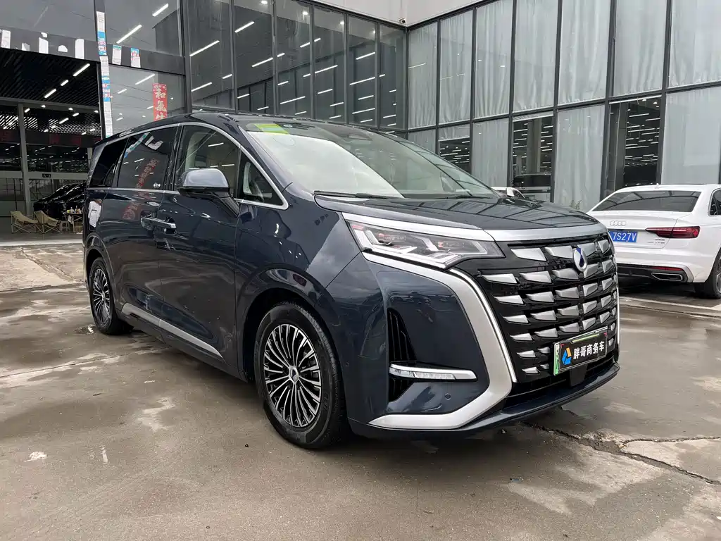 Denza Denza D9 — миниатюра 3
