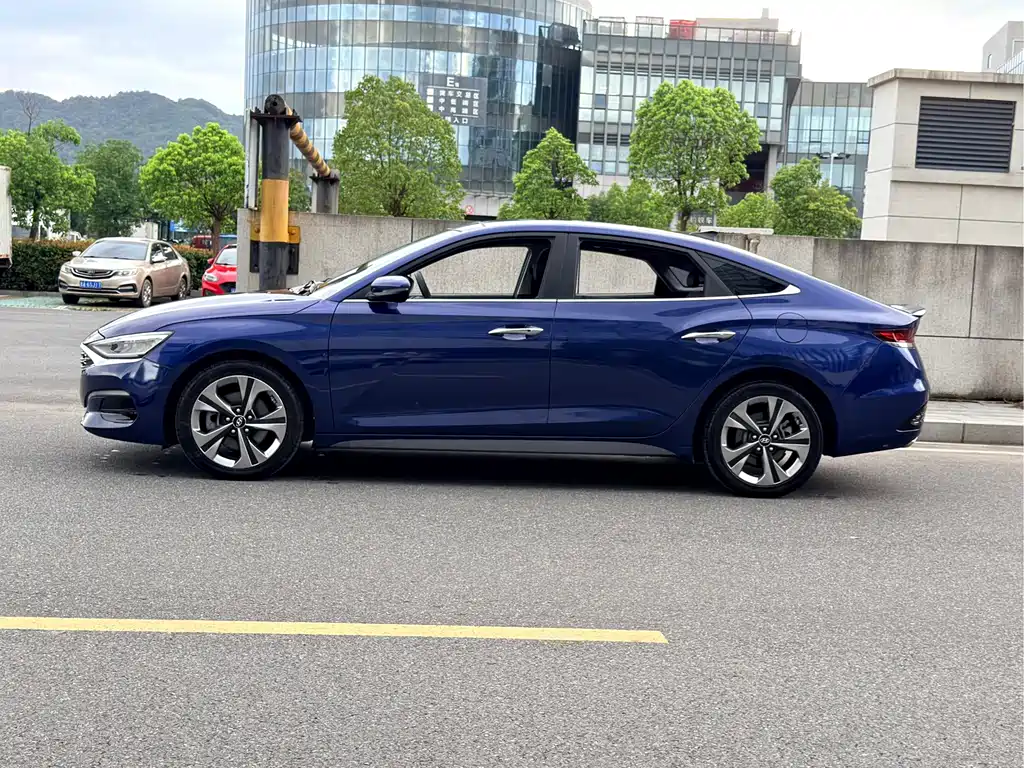 Hyundai Fista — миниатюра 7