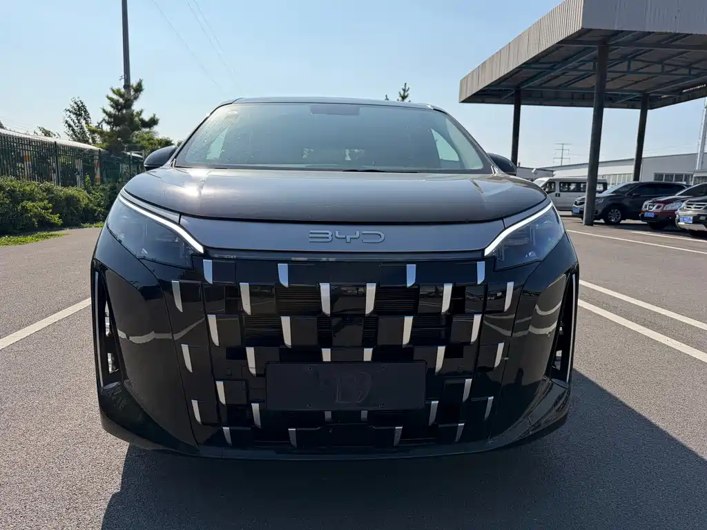 BYD M9 — миниатюра 2
