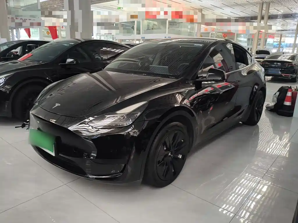 Tesla Model Y — миниатюра 2