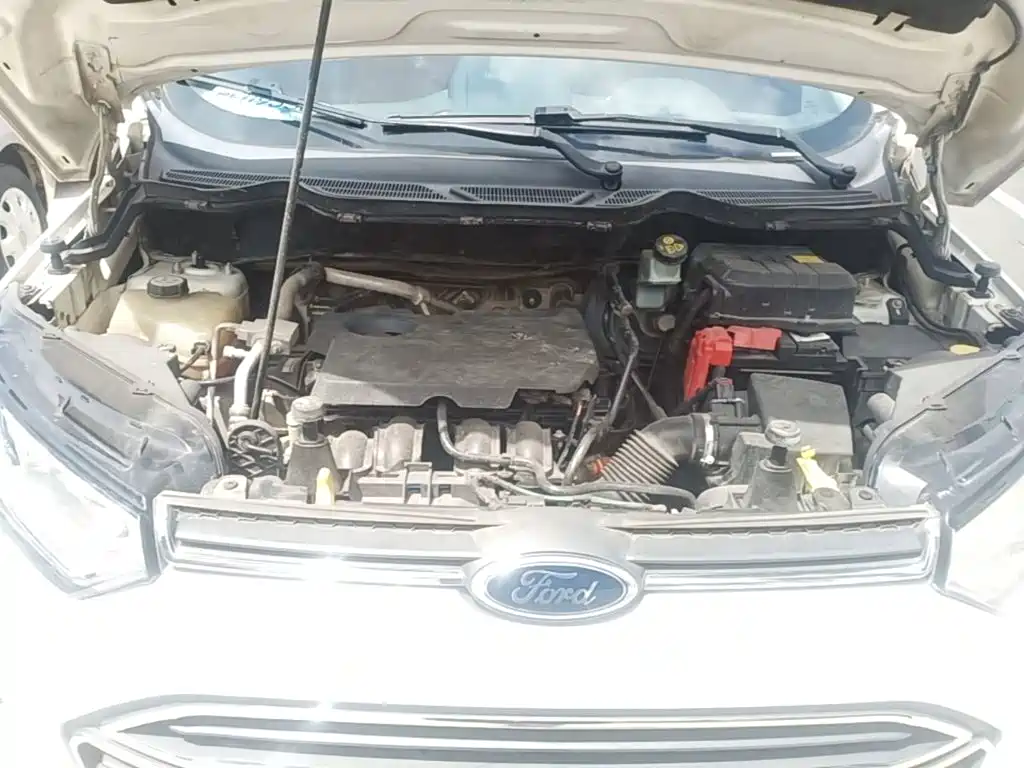 Ford Ecosport — миниатюра 20