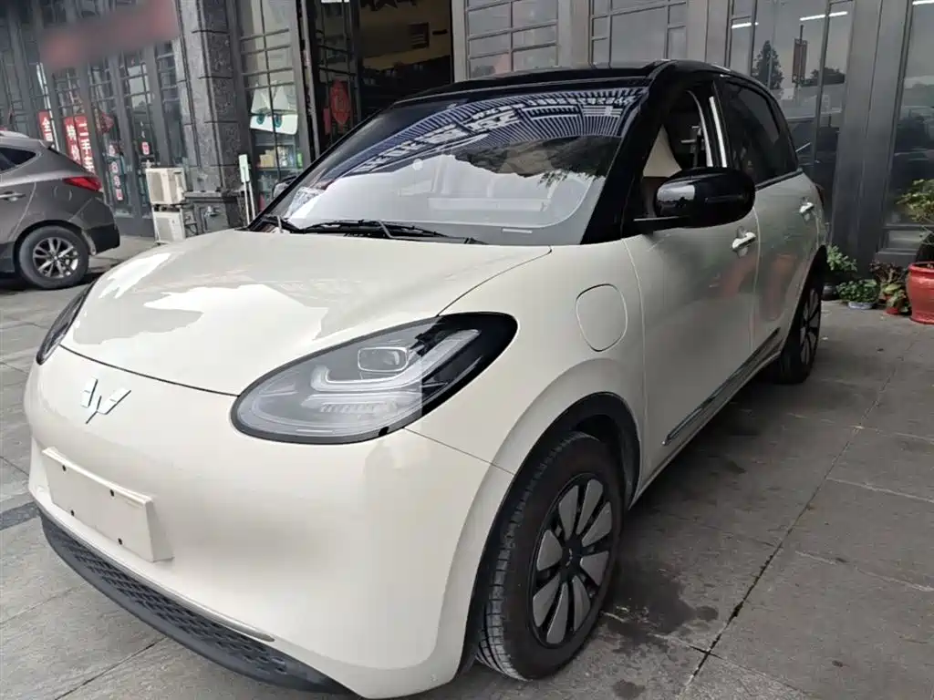 Wuling Bingo 2024