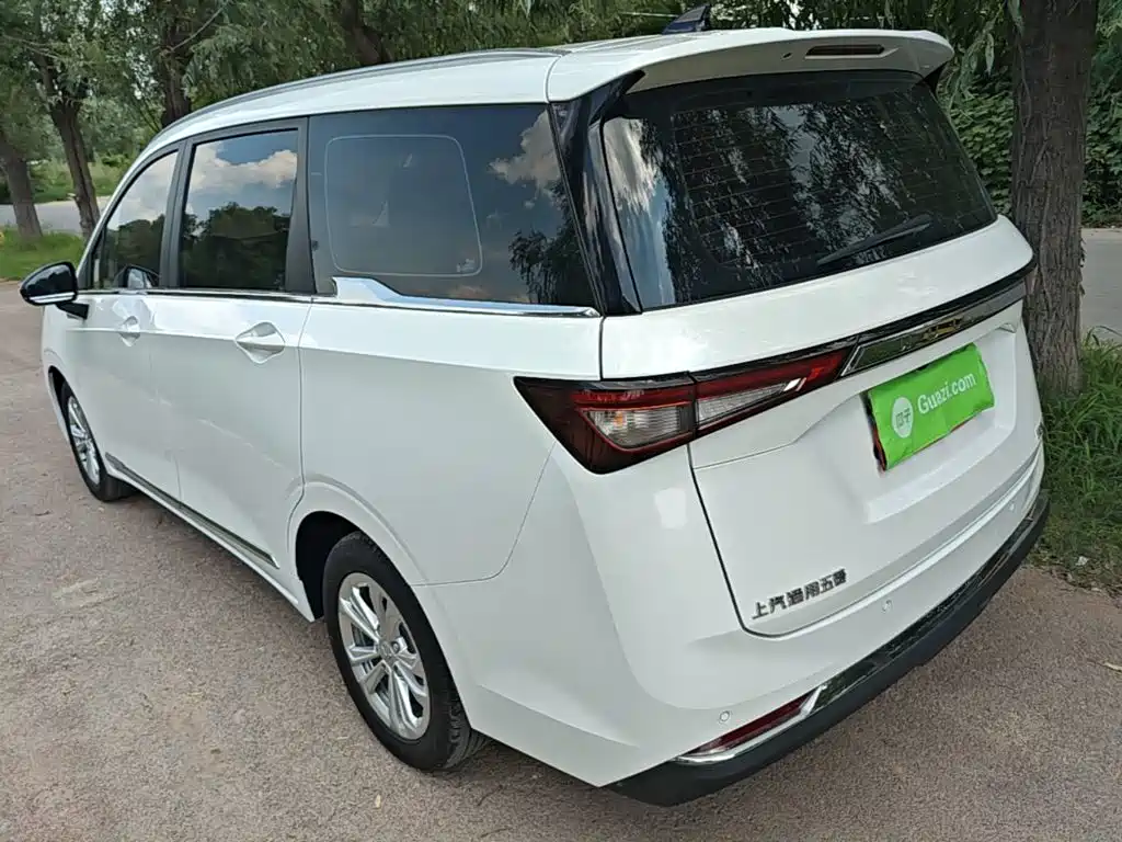 Wuling Jiachen — миниатюра 5
