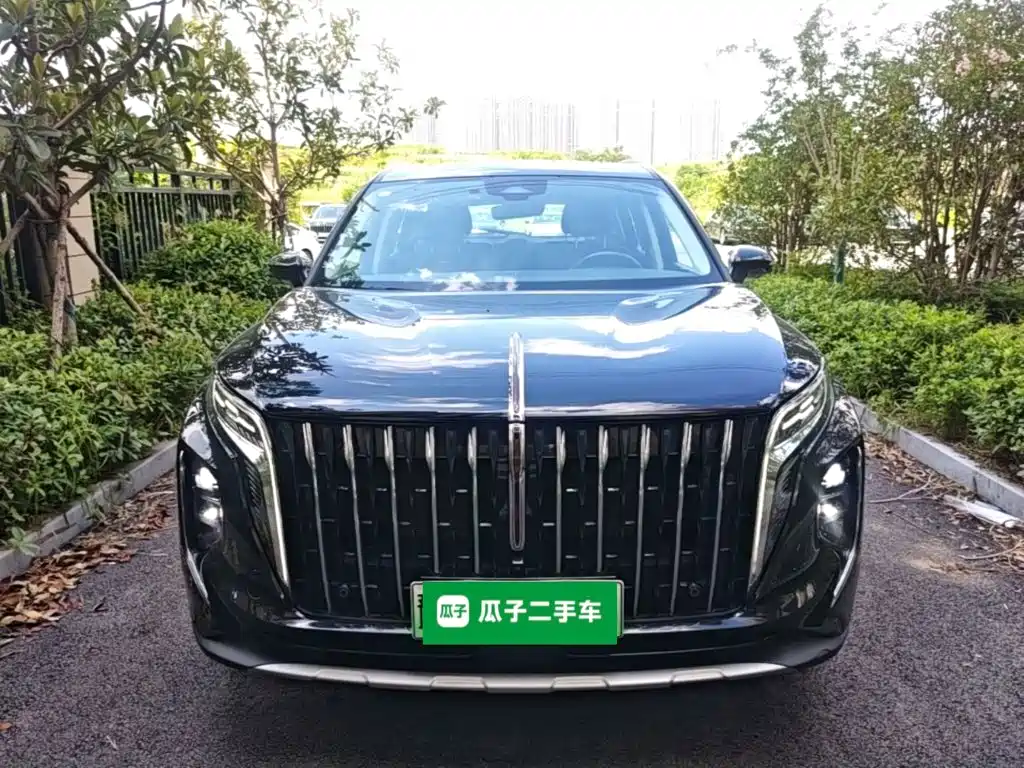 Hongqi Hongqi HS7 PHEV — миниатюра 3