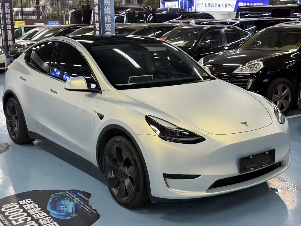 Tesla Model Y — миниатюра 2