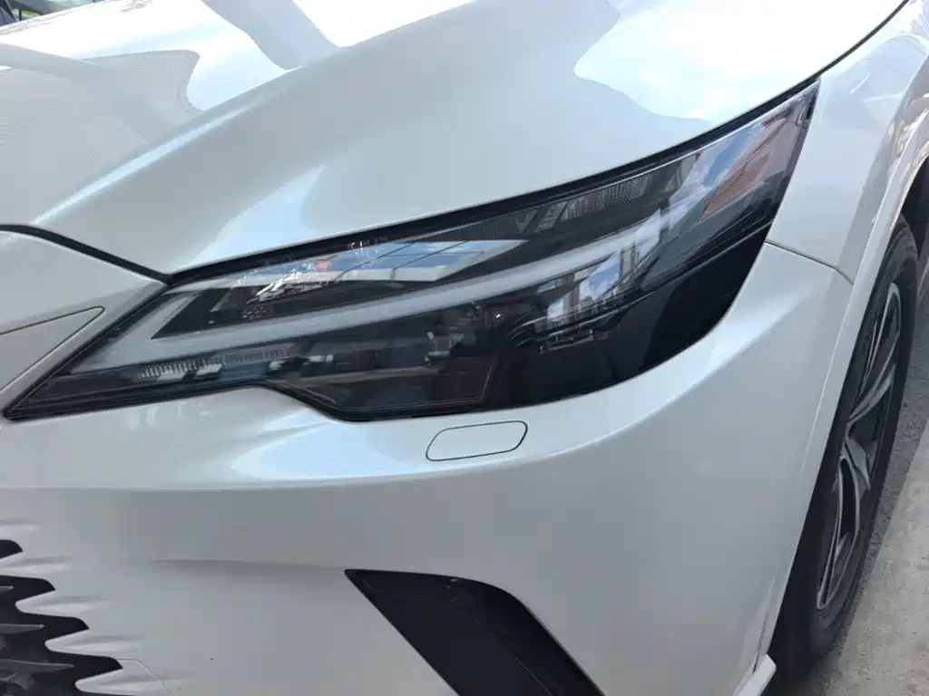 Lexus RX — миниатюра 24