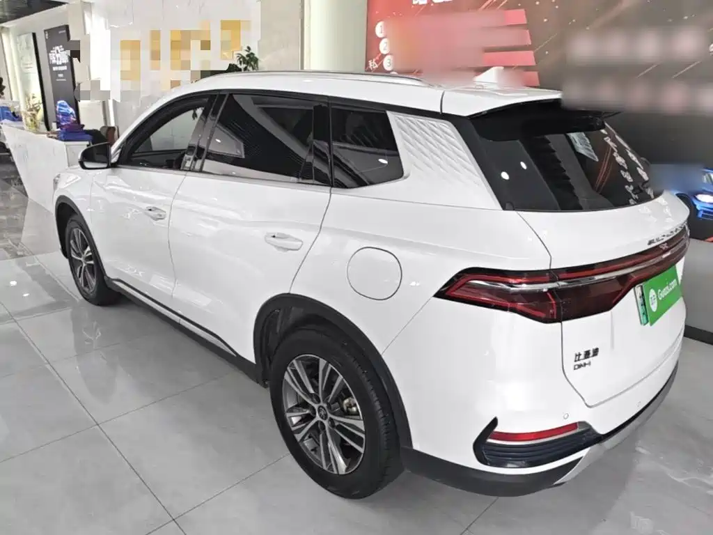 BYD Pro New Energy — миниатюра 5