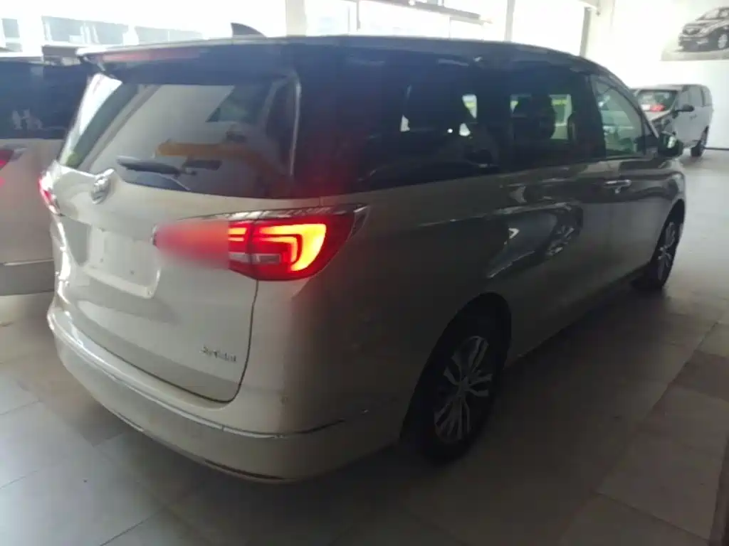 Buick GL8 — миниатюра 7
