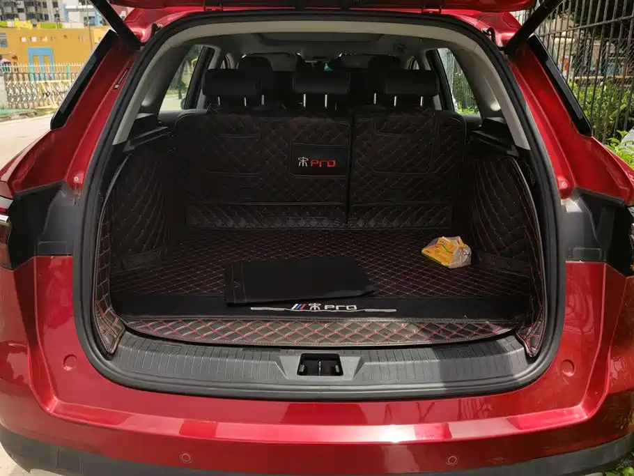 BYD Pro — миниатюра 4