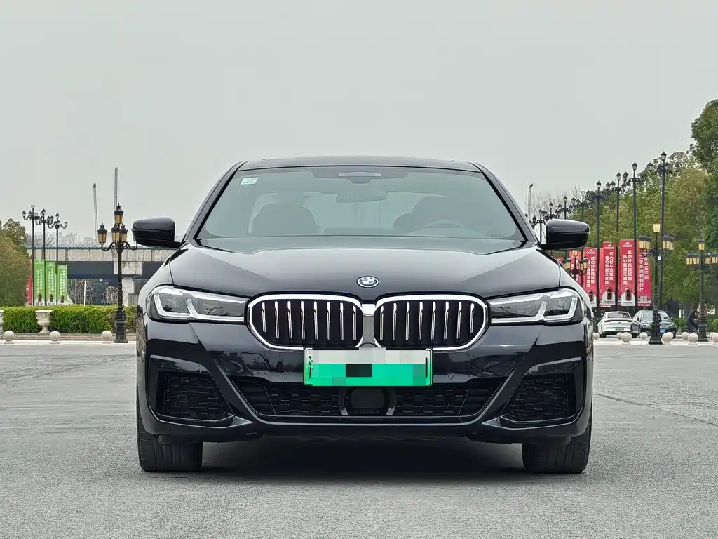 BMW 5 Series New Energy — миниатюра 2
