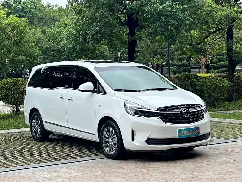 Buick GL8 — миниатюра 3