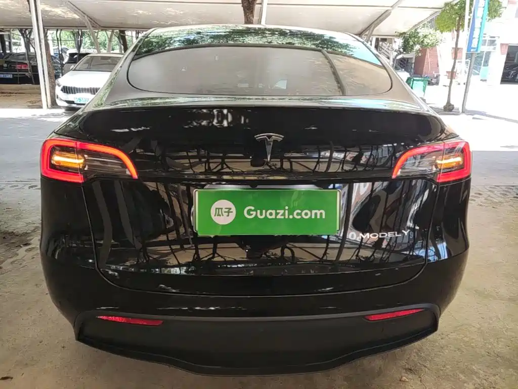 Tesla Model Y — миниатюра 6