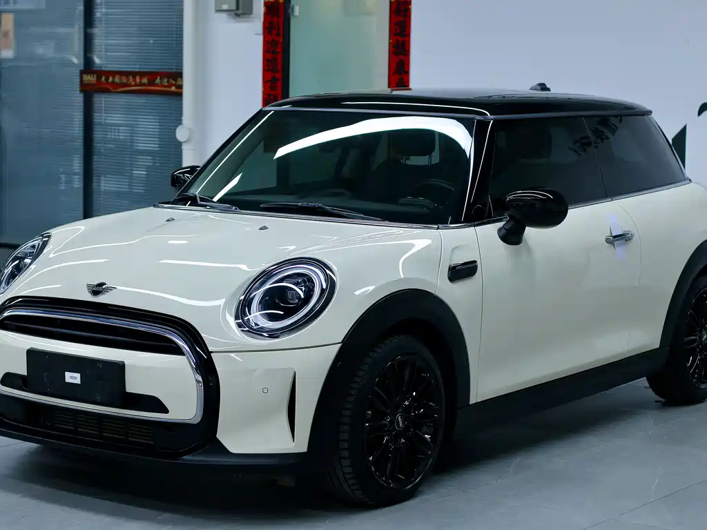 Mini Mini 2021