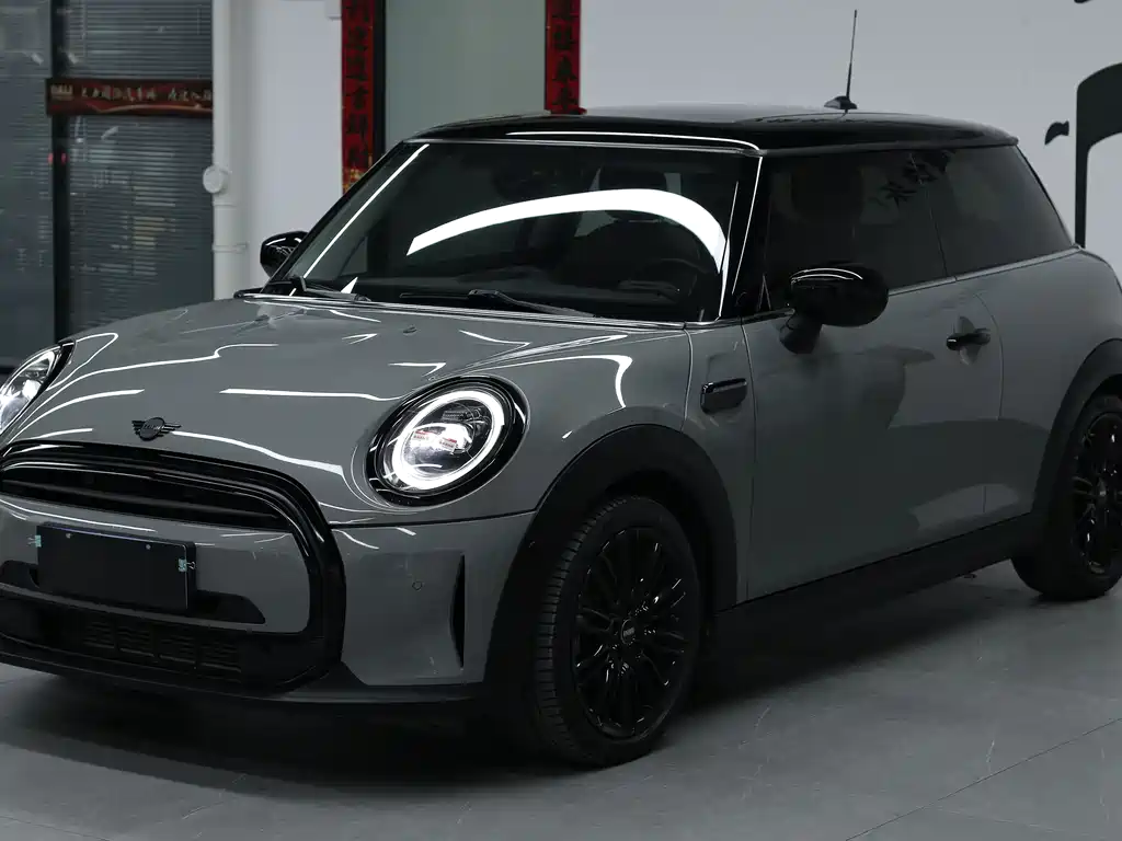 Mini Mini 2021