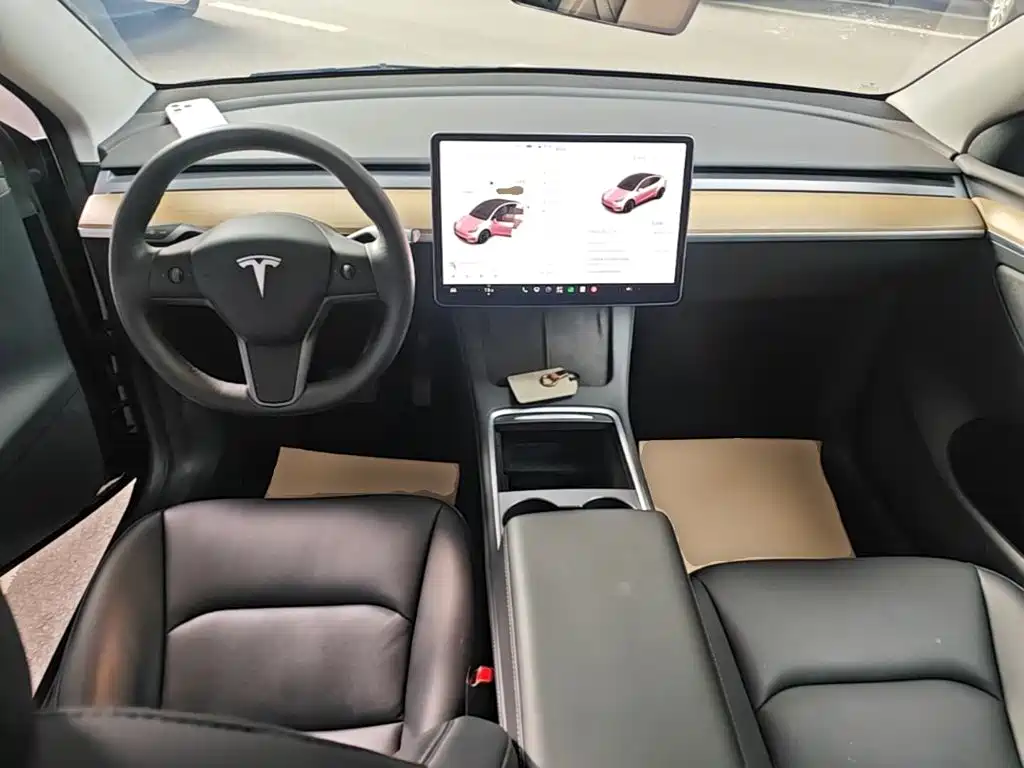 Tesla Model Y — миниатюра 10