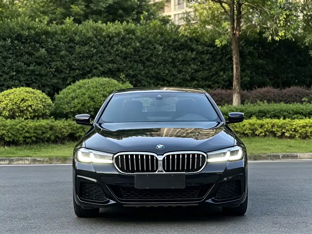 BMW 5 Series — миниатюра 2