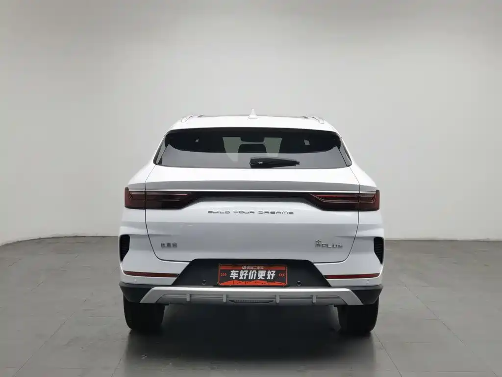 BYD PLUS — миниатюра 4
