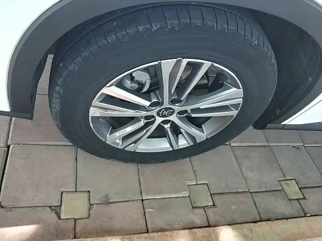 BYD Pro — миниатюра 23