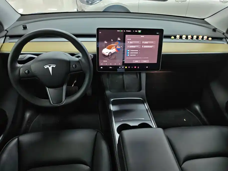 Tesla Model Y — миниатюра 12