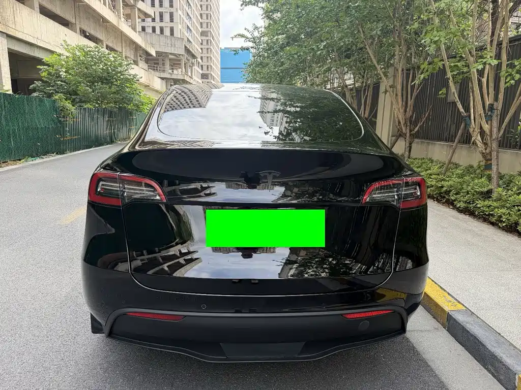 Tesla Model Y — миниатюра 6