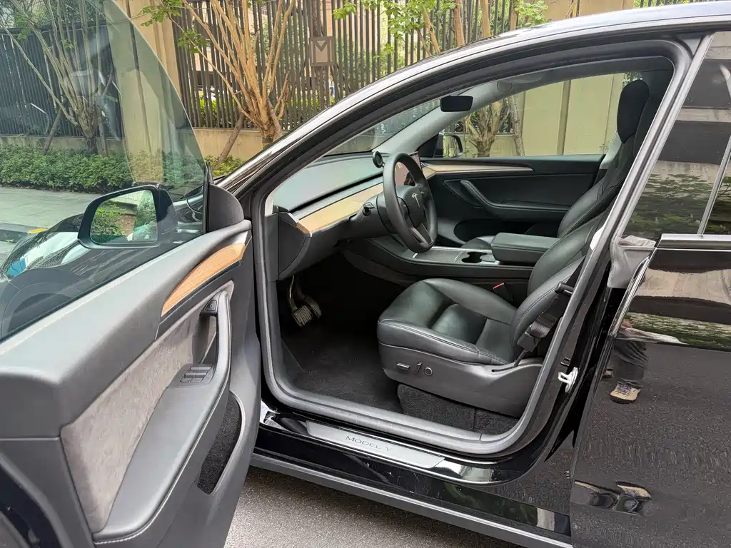 Tesla Model Y — миниатюра 8