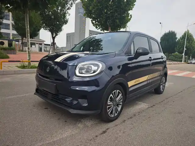 2021 Leapmotor T03