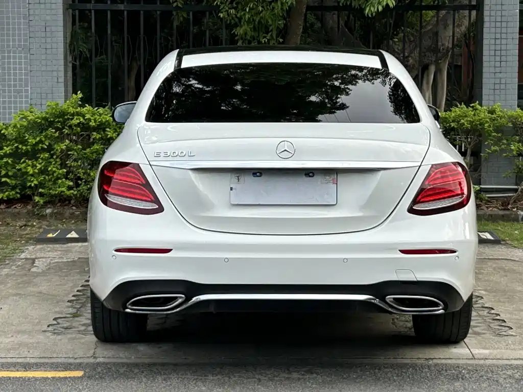Mercedes-Benz E-Class E 2019 E 300 L Sport Luxury