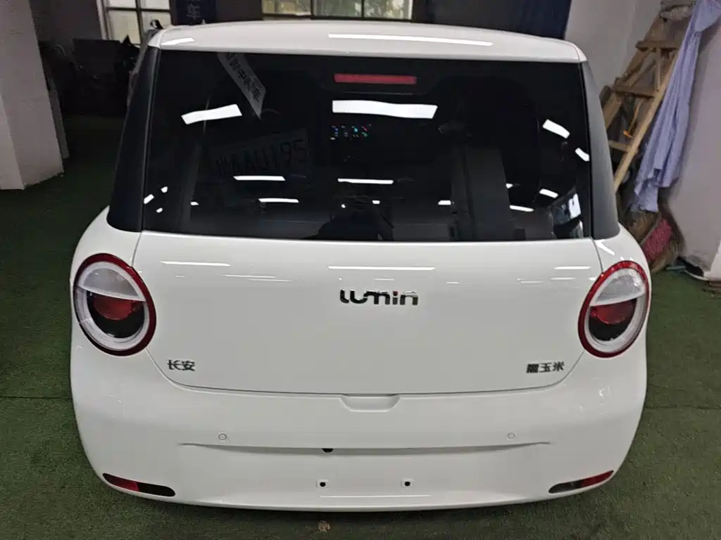 Qiyuan Lumin — миниатюра 4