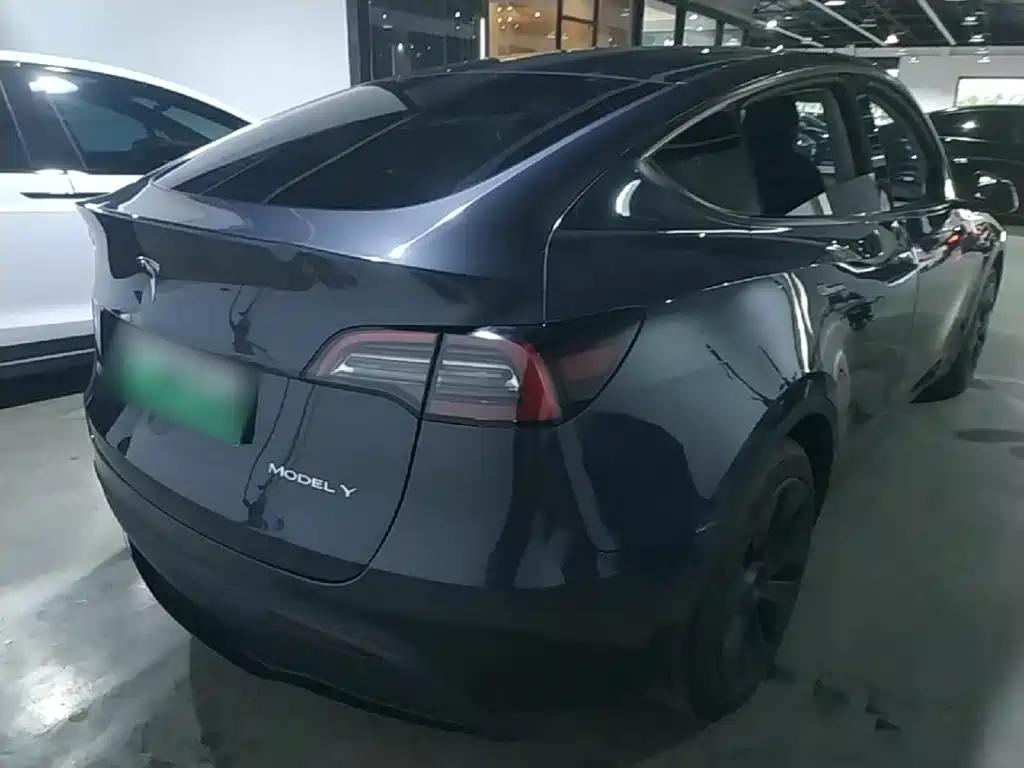 Tesla Model Y — миниатюра 7