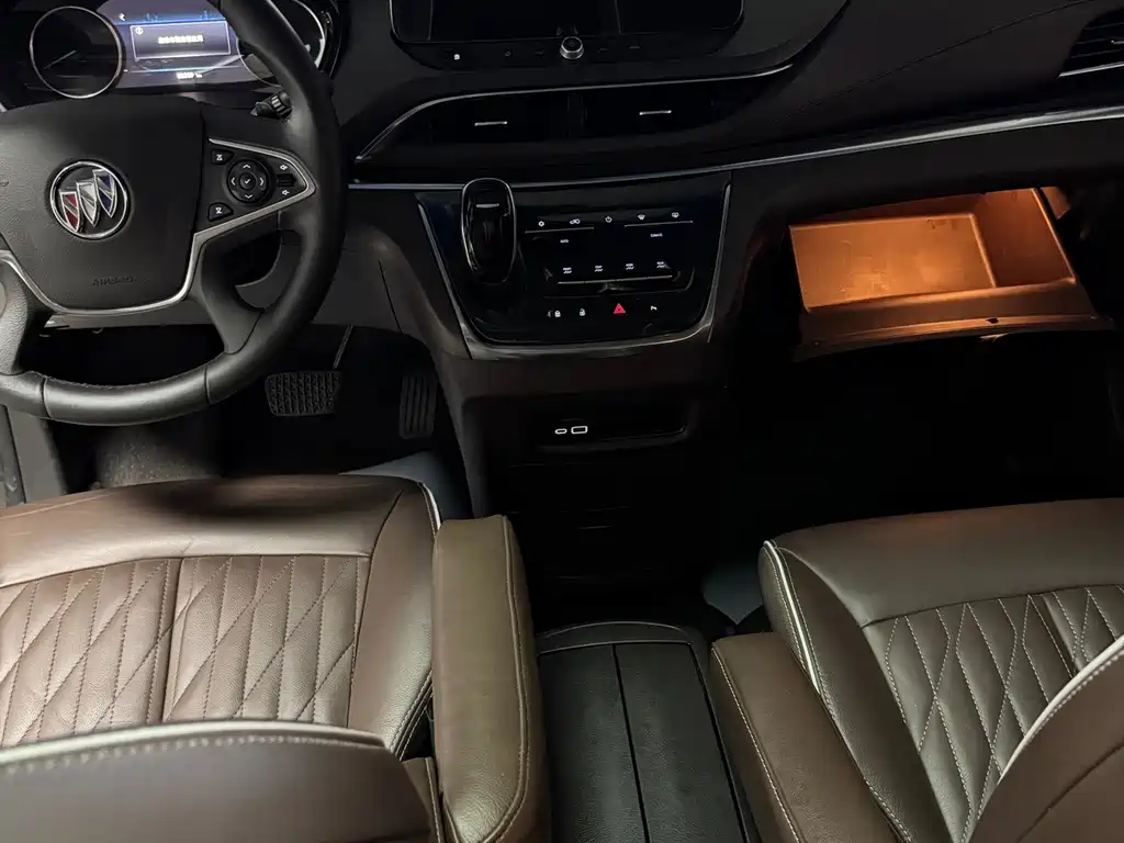 Buick GL8 — миниатюра 8