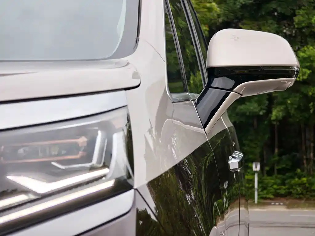 Denza Denza D9 — миниатюра 11