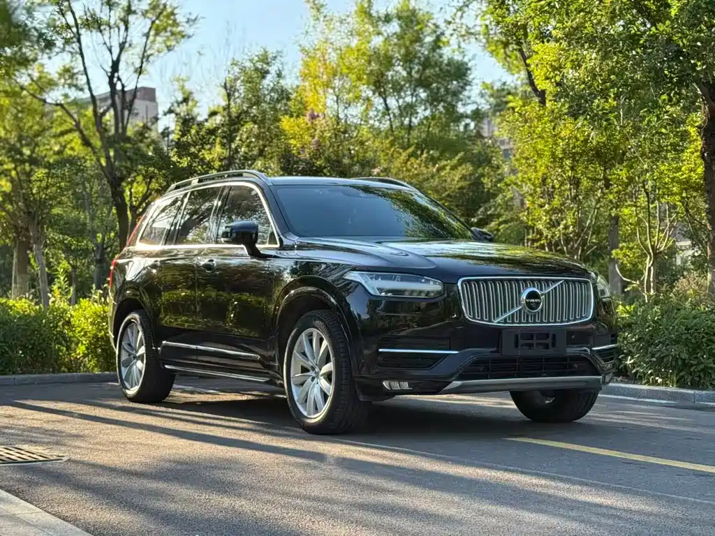 Volvo XC90 — миниатюра 3