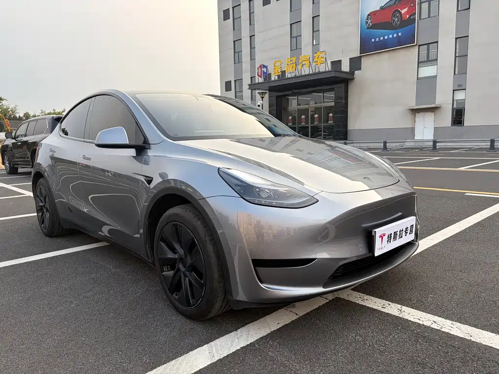 Tesla Model Y — миниатюра 8