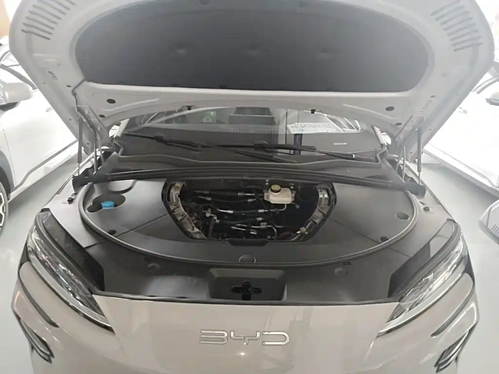 BYD PLUS New Energy — миниатюра 20