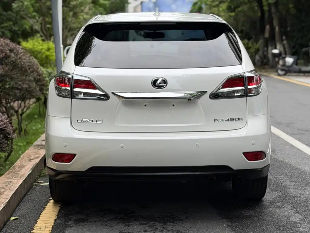 Lexus RX Classic — миниатюра 8