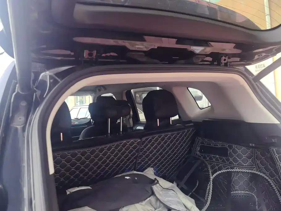 Haval Big Dog PLUS — миниатюра 4