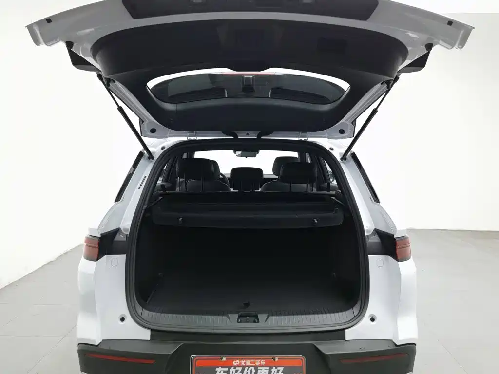 BYD Pro New Energy — миниатюра 16