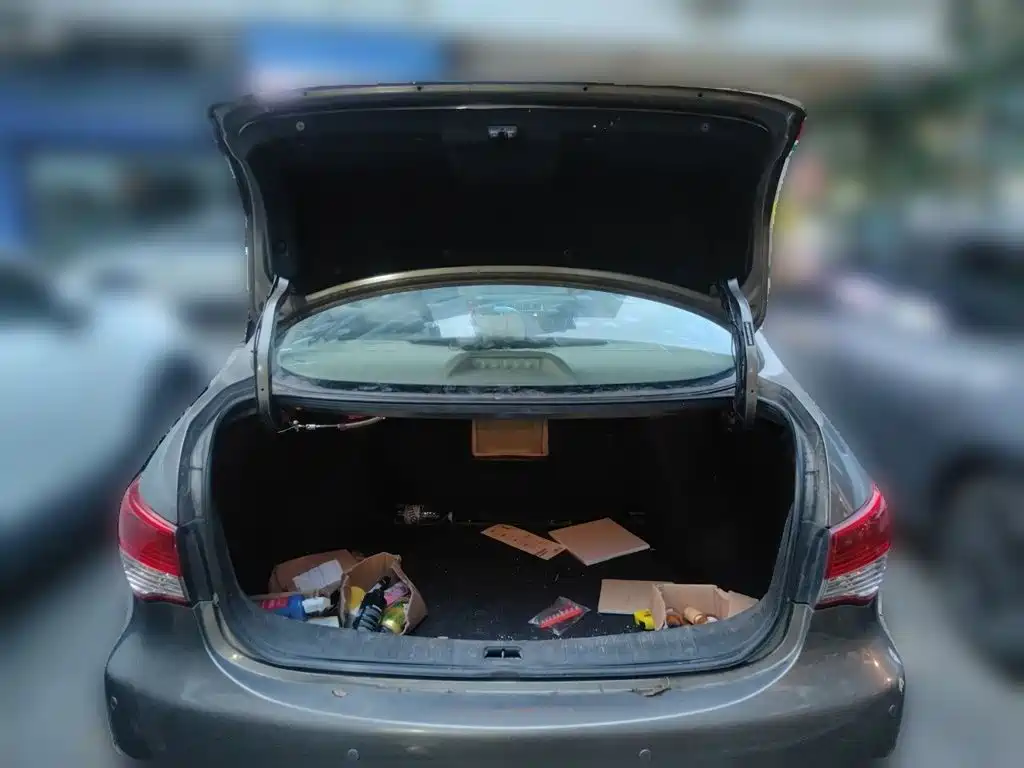 Nissan Sylphy — миниатюра 20