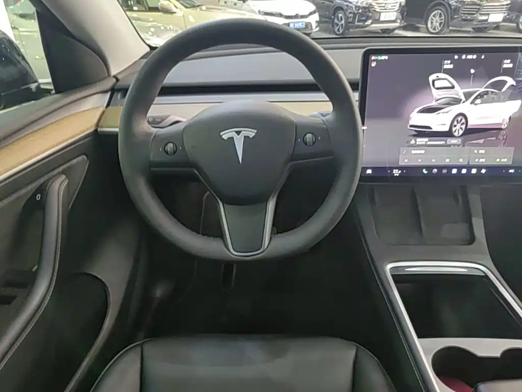 Tesla Model Y — миниатюра 15