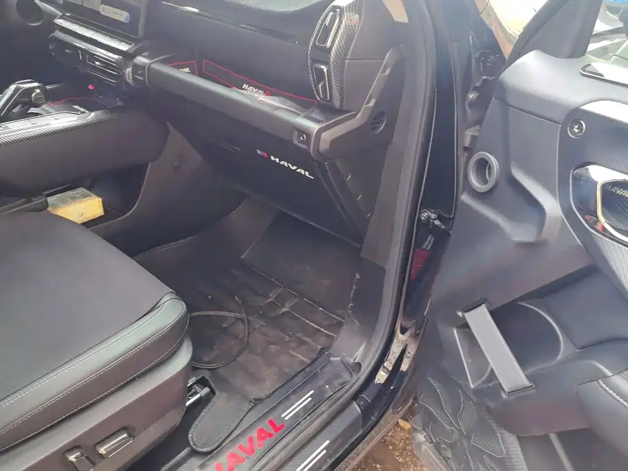 Haval Big Dog PLUS — миниатюра 8