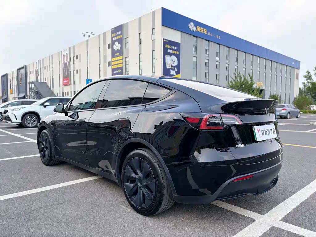 Tesla Model Y — миниатюра 4