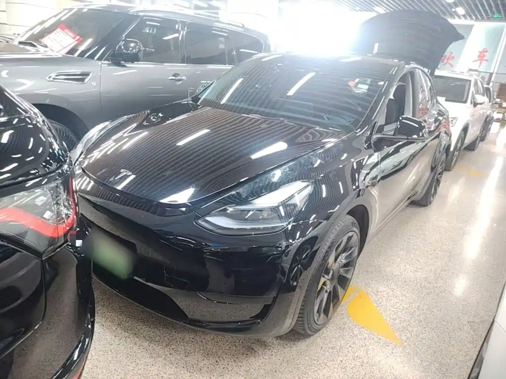 Tesla Model Y — миниатюра 2