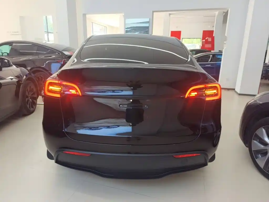 Tesla Model Y — миниатюра 6