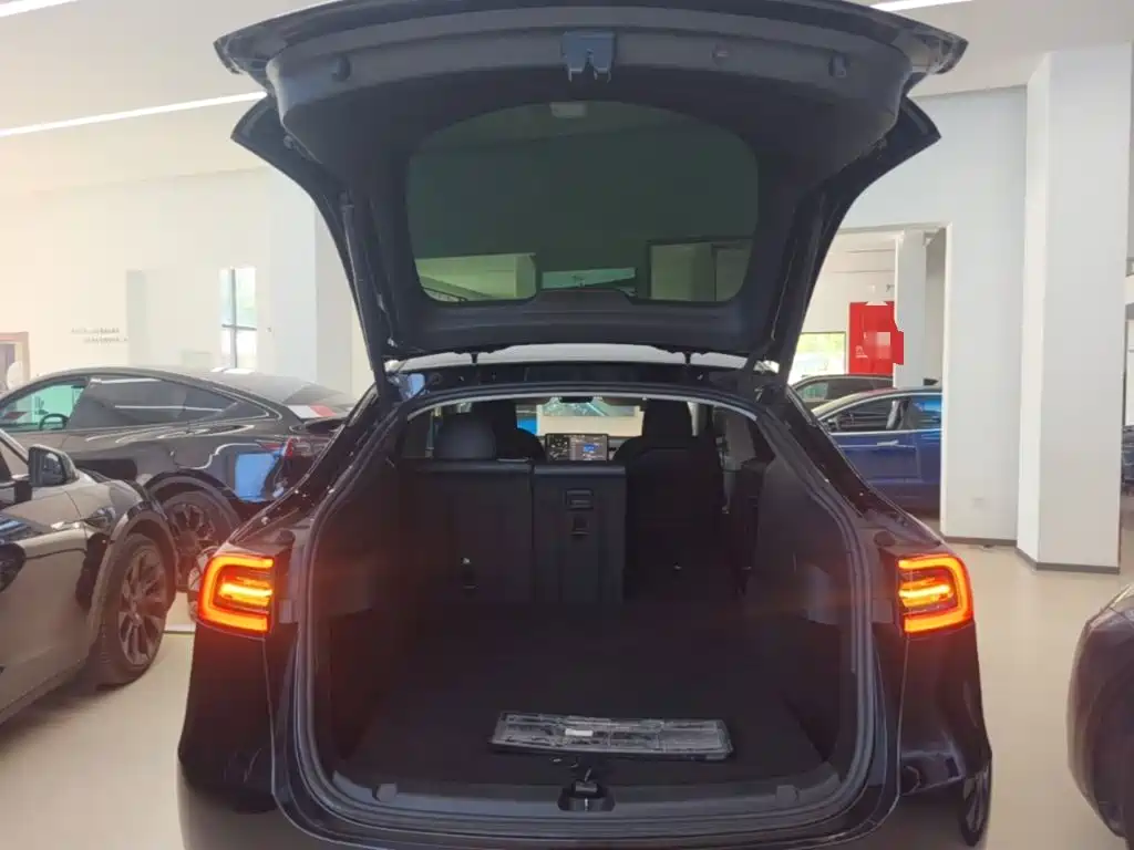 Tesla Model Y — миниатюра 19